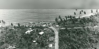 A Forgotten Photograph Reveals Tobago’s Hurricane Flora Devastation