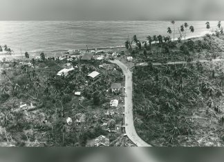 A Forgotten Photograph Reveals Tobago’s Hurricane Flora Devastation