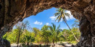 Eleuthera’s Preacher’s Cave Preserves Lucayan Burials Beneath A Refuge Used By Shipwrecked Puritan Settlers