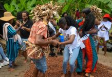 How Trinidad’s Cocoa Trees Created the Trinitario Variety Known Around the World