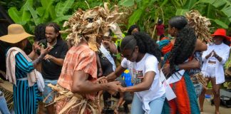 How Trinidad’s Cocoa Trees Created the Trinitario Variety Known Around the World