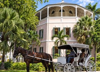 Nassau’s Historic Public Library Still Stores Books Inside Cells Of A Former Colonial Gaol