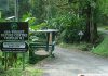 How a Northern Range Cocoa Estate Became the Asa Wright Nature Centre