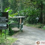 How a Northern Range Cocoa Estate Became the Asa Wright Nature Centre