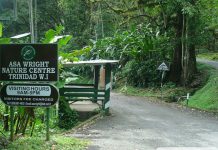 How a Northern Range Cocoa Estate Became the Asa Wright Nature Centre