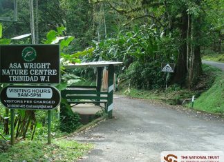 How a Northern Range Cocoa Estate Became the Asa Wright Nature Centre