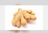 UK ginger imports from Peru rise in value as falling prices reshape the global market