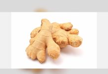 UK ginger imports from Peru rise in value as falling prices reshape the global market