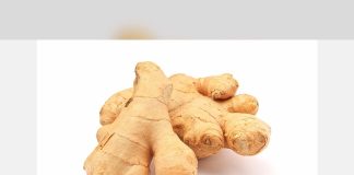 UK ginger imports from Peru rise in value as falling prices reshape the global market