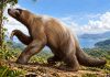 Ryan Mohammed describes four-metre ground sloths roaming Trinidad’s grasslands during the Ice Age